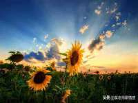 义乌市翊言电子商务商行