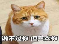 义乌市翊言电子商务商行