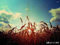 义乌市翊言电子商务商行
