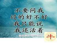 义乌市翊言电子商务商行