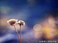 义乌市翊言电子商务商行