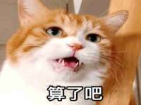 义乌市翊言电子商务商行