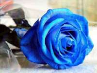 义乌市翊言电子商务商行