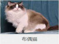 义乌市翊言电子商务商行