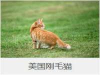 义乌市翊言电子商务商行