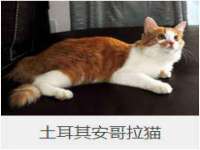 义乌市翊言电子商务商行