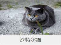 义乌市翊言电子商务商行