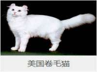 义乌市翊言电子商务商行