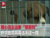 义乌市翊言电子商务商行