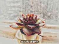 义乌市翊言电子商务商行