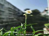 义乌市翊言电子商务商行