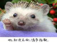 义乌市翊言电子商务商行