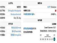 义乌市翊言电子商务商行