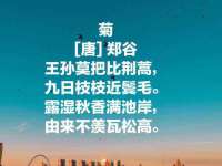 义乌市翊言电子商务商行