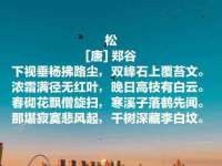义乌市翊言电子商务商行