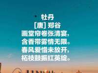 义乌市翊言电子商务商行