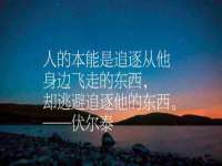 义乌市翊言电子商务商行