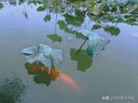 义乌市翊言电子商务商行