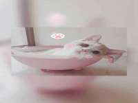 义乌市翊言电子商务商行