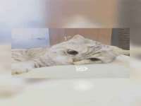 义乌市翊言电子商务商行