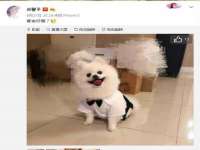 义乌市翊言电子商务商行