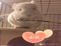 义乌市翊言电子商务商行