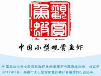 义乌市翊言电子商务商行