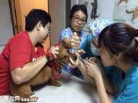 义乌市翊言电子商务商行