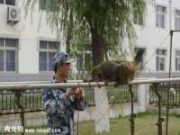 义乌市翊言电子商务商行