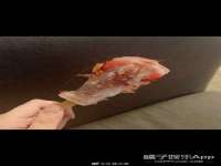义乌市翊言电子商务商行